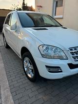 Mercedes-Benz ML 350 CDI 4MATIC - - Mercedes-Benz ML 350 in Mainz