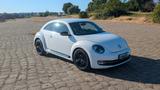 Volkswagen Beetle 1.4 TSI Sport Sport - Volkswagen Beetle in Dresden
