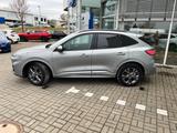 Ford Kuga ST-Line X Ecoblue 4WD "Standheizung" - Jahreswagen