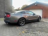 Ford Mustang GT500 - gebrauchte Ford Mustang aus dem Jahr 2010