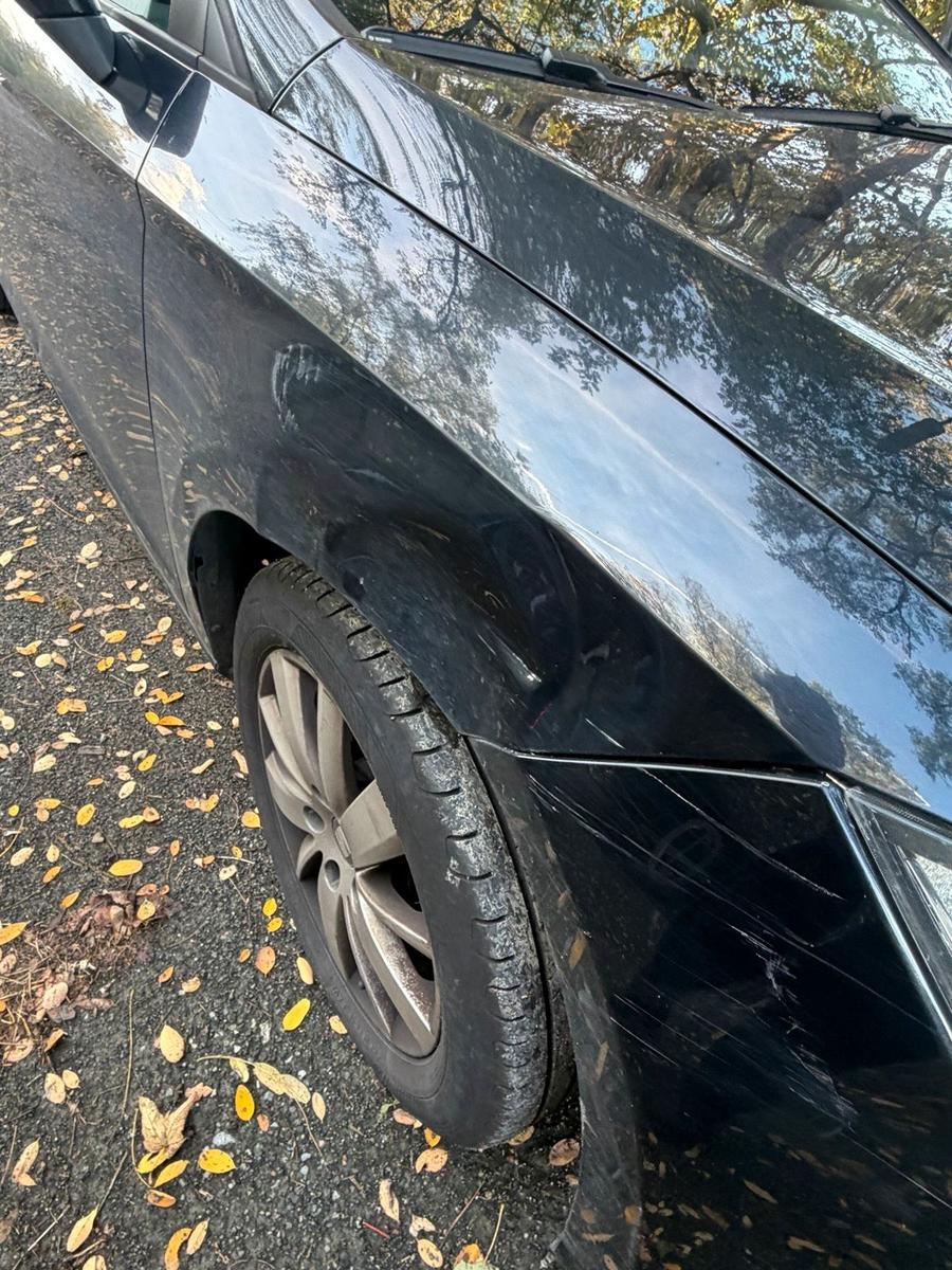 Seat Leon 2014 — photo 9