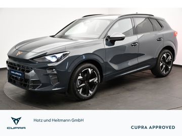 Cupra Terramar - 1