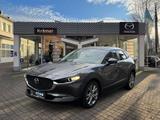 Mazda CX-30 L SKYACTIV-G 2.0 150PS M Hybrid 6GS AL-SEL - Mazda CX-30 mit Hybrid-Antrieb