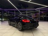 Porsche Cayman Black Edition / MWST - Porsche Cayman: Black Edition