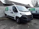 Fiat Ducato 120 L2H1 RS: 3450 mm *Motorschaden* - Motorschaden mit Diesel-Antrieb