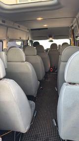 Ford Transit Bus FT 350 L 13/14-Sitzer-Bus - Ford Transit: Sitzer 14