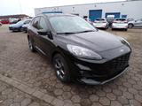 Ford Kuga ST-Line X/PANO/WINTER2/ - gebrauchte Ford SUV & Geländewagen