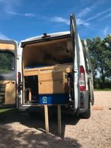 Peugeot Boxer DIY camper (braucht TÜV) - Peugeot Boxer in Berlin