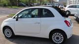 Fiat 500 Cabrio Lounge Hybrid 70 PS Weiss-Schwarz - Fiat 500: Weis