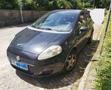 Fiat Punto 1.4 8V Active Active - Fiat Punto aus 2008: 1.4