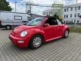 Volkswagen New Beetle 1.6 Cabriolet Standard - Volkswagen New Beetle: Standard