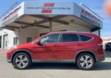 Honda CR-V 2.0 Executive 4WD (Leder, Bi-Xenon, Kamera) - Honda CR-V aus 2014