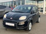 Fiat Panda Base / Klima, Radio, elektr. FH vorn, Blue - Fiat Panda in Chemnitz
