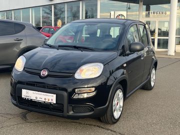 Fiat Panda Base / Klima, Radio, elektr. FH vorn, Blue