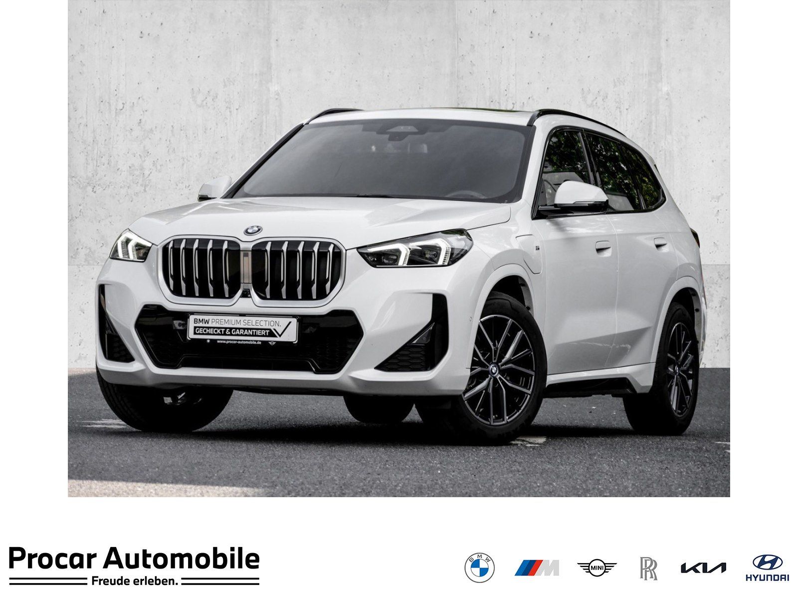 BMW X1 xDrive30e M SPORT PANO HuD 360° ADAPT.LED foto 1