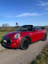 MINI Cooper Cabrio Cooper - MINI Cooper Cabrio von privat
