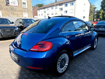 Volkswagen Beetle - 7