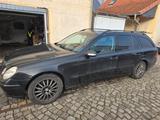 Mercedes-Benz E 320 T avantgarde  - Mercedes-Benz E 320 mit Benzin-Antrieb: Kombi