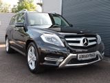 Mercedes-Benz GLK 220 CDI BE 4Matic Premium AMG-Line 1. Hand - Mercedes-Benz GLK 220: Leder
