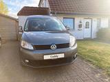 Volkswagen Caddy III Maxi Roncalli/ Trendline - Volkswagen Caddy Maxi: Roncalli