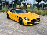 Mercedes-Benz AMG GT R 4.0 V8 R DCT Roadster R - Mercedes-Benz AMG GT R: Cabrio