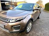 Land Rover Range Rover Evoque 2.0 TD4 180 PS SkyView Au... - Land Rover: Beige
