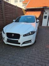 Jaguar XF-Type R Sport zu verkaufen! - Jaguar F-Type Unfallwagen