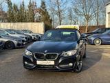 BMW 220i Cabrio Sport Xenon Navi Leder HiFi 17" - BMW 220: I