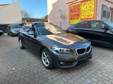 BMW Cabrio 220 i Advantage / 1.Hand/Leder/Sportsitze - BMW 220 in Mannheim