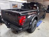 Ford F150 Raptor,37, MY 2025, Vorlauf 3,5 V6, Raptor - Ford: 15 M