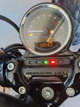 Harley-Davidson Roadster 1200 (XL1200CX)- Top Zustand, 5500km - HARLEY-DAVIDSON ROADSTER