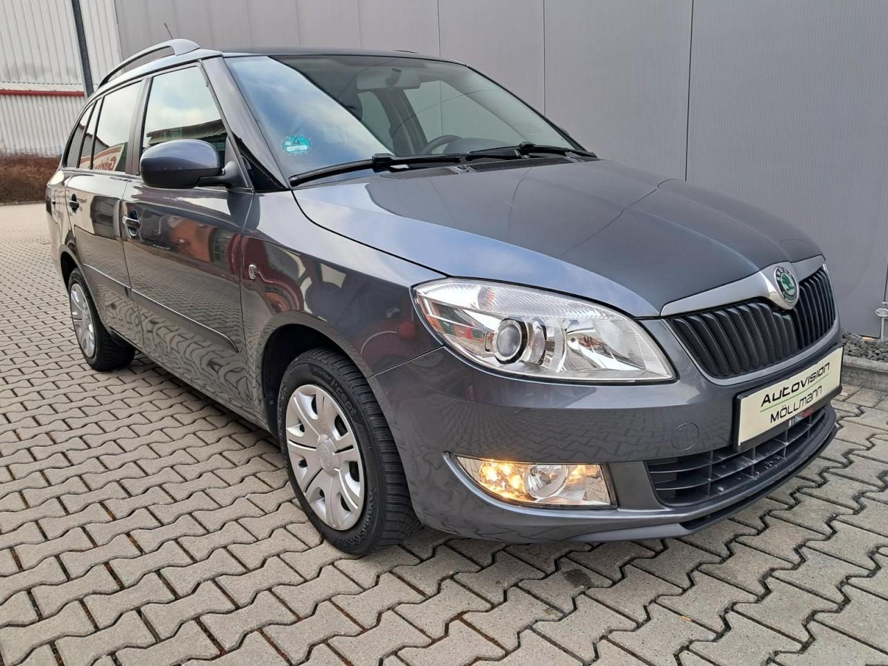 Skoda Fabia 2010 — rear view