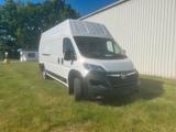 Opel Movano Maxi  - gebrauchte Opel Movano aus dem Jahr 2023