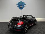 Volkswagen Beetle Cabriolet Club BMT *1.Hand* - gebrauchte VW Cabrios