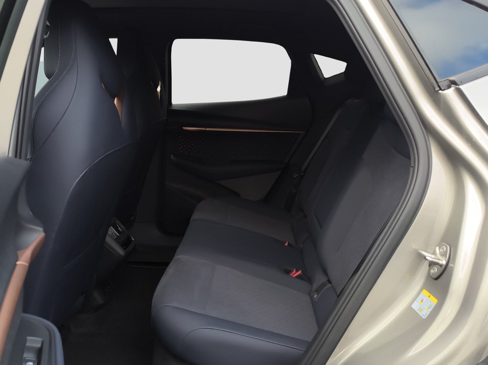 Cupra Tavascan - Bild 17