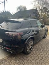 Alfa Romeo Stelvio 2.9 Bi-T. V6 375kW Quadrifoglio AT8-... - Alfa Romeo Stelvio: Quadrifoglio