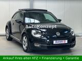 Volkswagen Beetle Sport|1Hd|Navi|Pano|BiXenon|SHZ|Temp|PDC| - Volkswagen Beetle in Düsseldorf