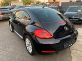 Volkswagen New Beetle 1.2 Design Panoramadach Bi-Xenon - Volkswagen New Beetle mit Panoramadach