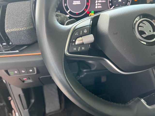 Fahrzeugabbildung SKODA Kodiaq 2.0 TDI DSG 4x4 SELECTION AHK NAVI KESSY