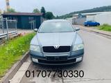 Skoda Octavia Combi 2.0 TDI PD Elegance - Skoda Octavia aus 2006: Elegance