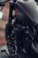 Harley-Davidson Sportster Iron 883 - Angebote