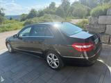 Mercedes-Benz E 250 CDI BlueEFFICIENCY AVANTGARDE AVANTGARDE - Mercedes-Benz E 250 mit Diesel-Antrieb: Limousine