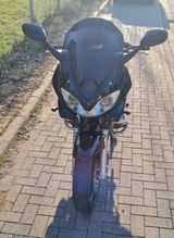 Suzuki Bandit 600 - Offers matching your search criteria