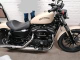 Harley-Davidson Sportster Iron XL 883 N  - Offers matching your search criteria