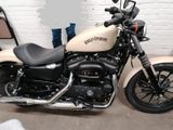Harley-Davidson Sportster Iron XL 883 N 
