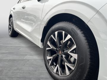 Cupra Terramar - 5