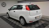 Fiat Punto 1.2 "Pop" KLIMA TÜV NEU 66TKM ALLWETTERR. - Fiat Punto: 3 Türen