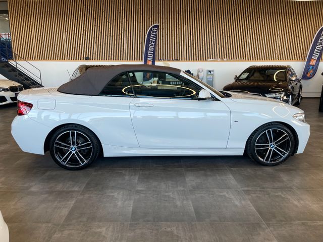 BMW Cabrio 220 d M Sport *1.HAND*19%MWST*NAVI*KAMERA