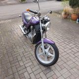 Suzuki VX 800 - Angebote entsprechen deinen Suchkriterien