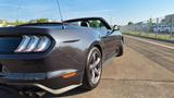 Ford Mustang GT CS Cabrio MagneRide - Ford Mustang: Cs